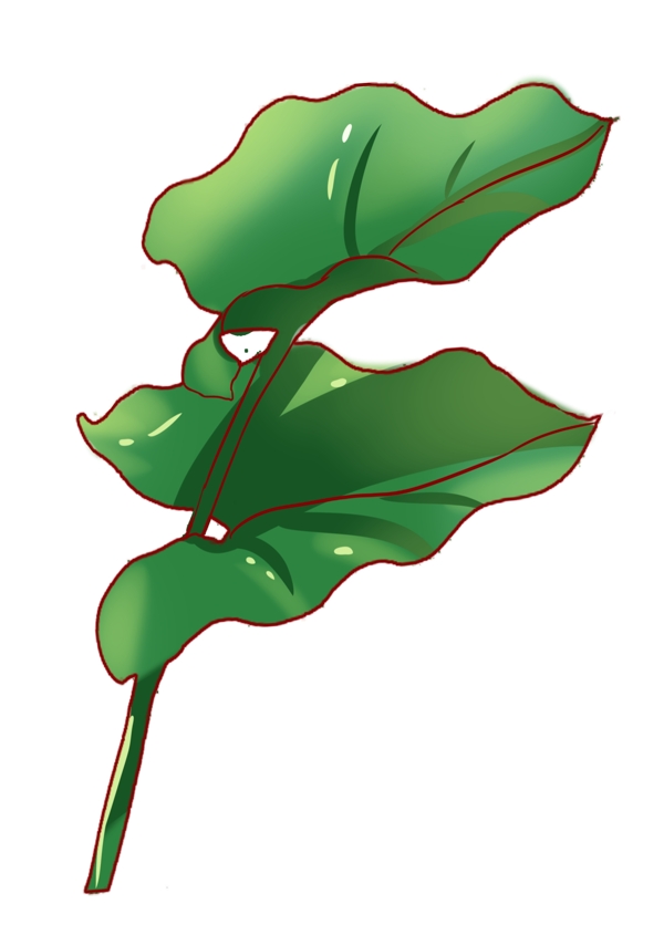 精美綠色植物