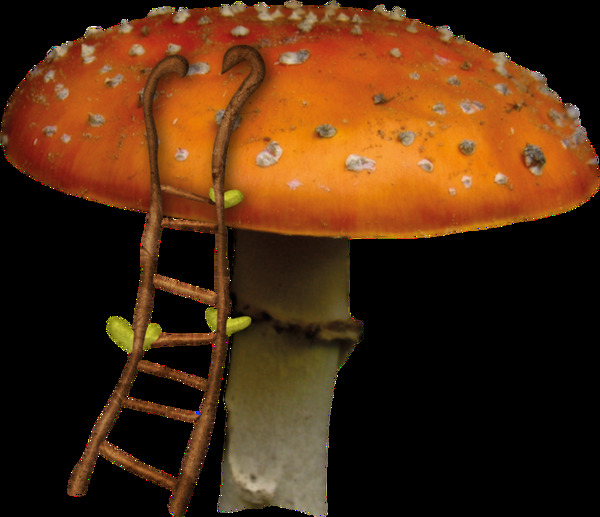 彩绘蘑菇塔图案设计