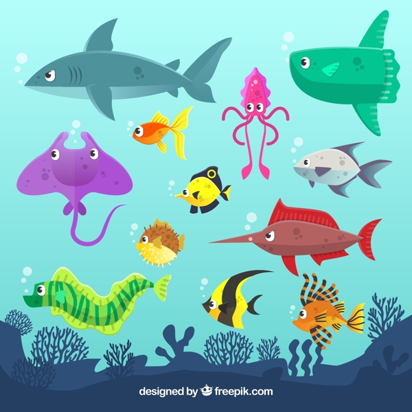 彩色大海中的海洋动物