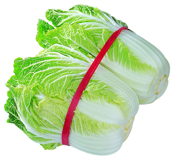 大白次