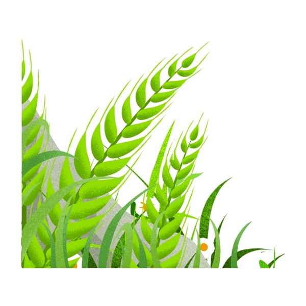手绘插画绿叶素材植物素材