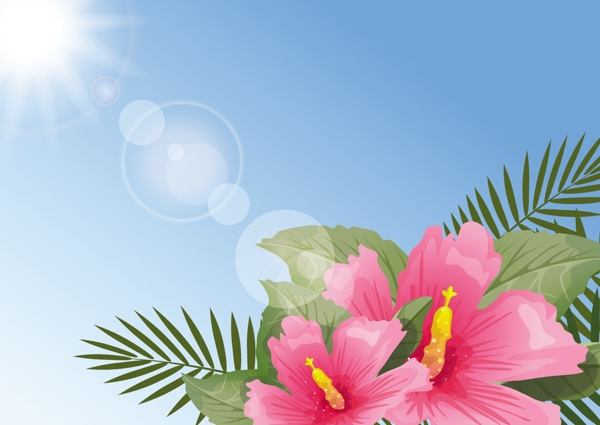 唯美夏季花卉插畫