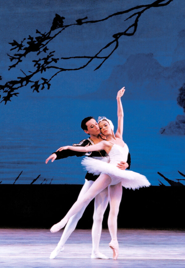 芭蕾舞天鹅湖2图片