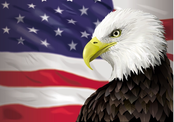美国设计美国国旗图片