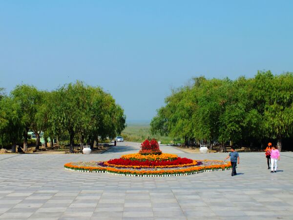 廣場花圃圖片