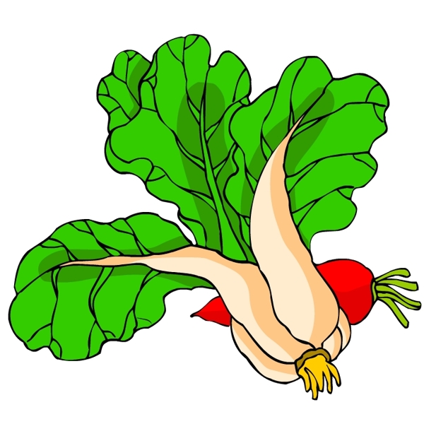 花卉古典插畫