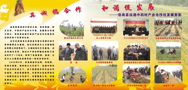 真情搞合作和諧促發(fā)展圖片