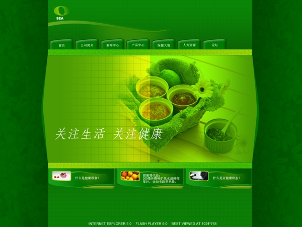 企業(yè)網站