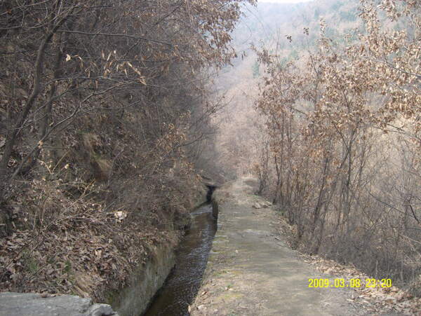 山大山樹渠溝山路
