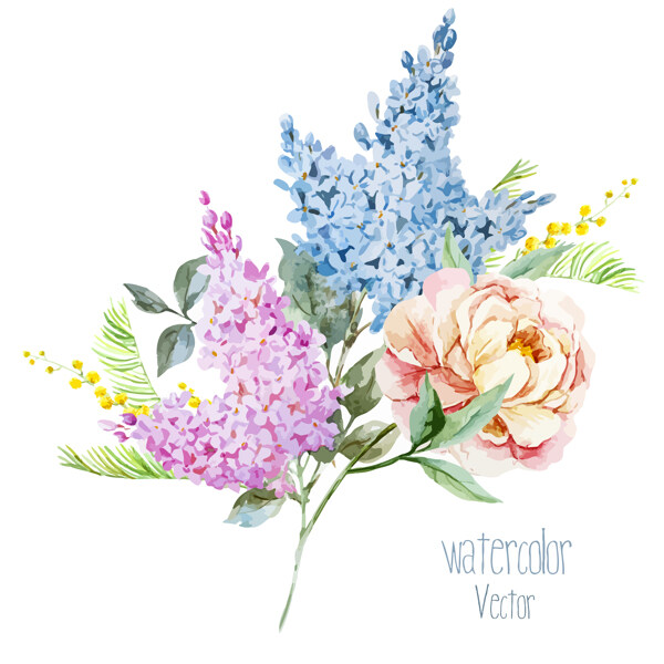 花卉素材