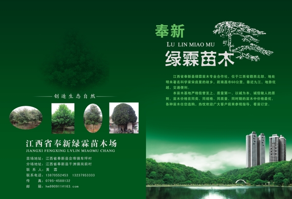 苗木圖片