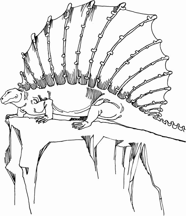 遠(yuǎn)古時代的動物手繪畫動物素描