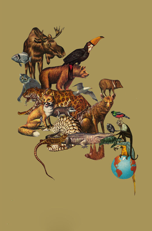 位圖插畫時(shí)尚插畫動(dòng)物插畫插畫師免費(fèi)素材