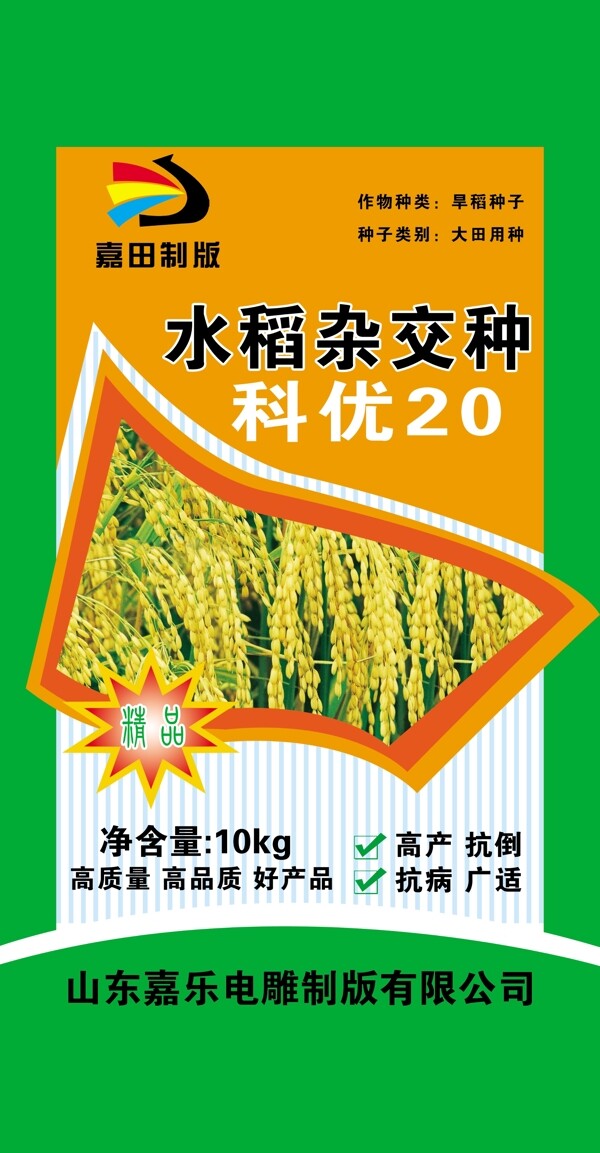 水稻種子圖片