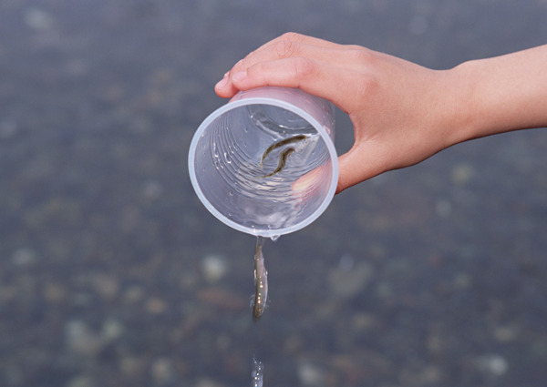 污水水測量