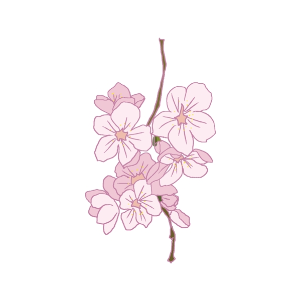 簇拥的粉色樱花插画