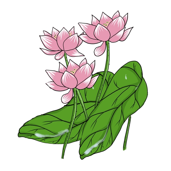 手繪中國(guó)風(fēng)荷花PNG素材