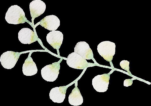 淡白花葉卡通透明裝飾素材