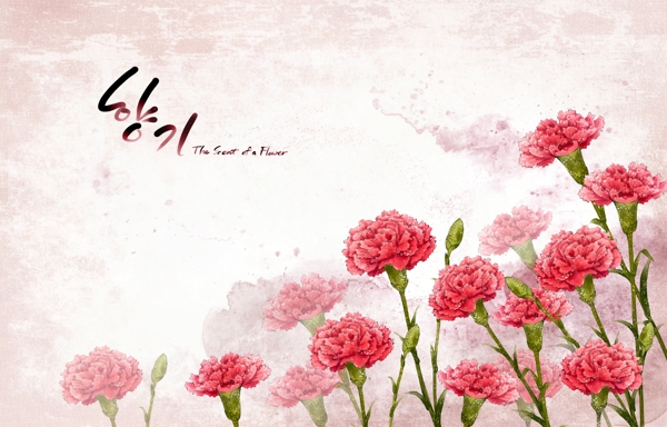 韩式手绘花卉装饰背景psd源文件