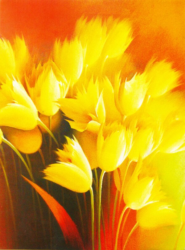 金黄的花朵油画图片