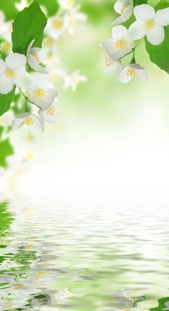 雅致玄關(guān)圖片