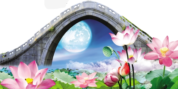 荷糖小橋