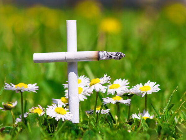 白色香烟十字架图片
