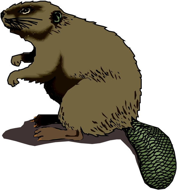 野生動物60