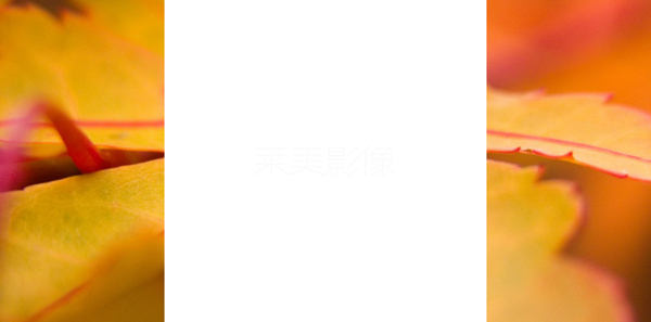 淘寶背景