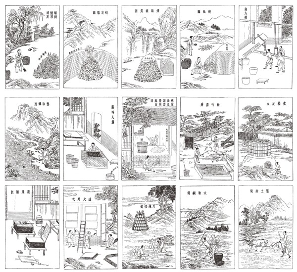矢量農(nóng)業(yè)