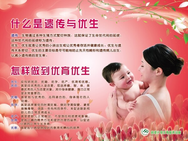 計劃生育圖片