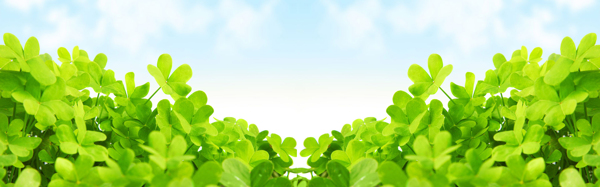 淘寶banner清新背景