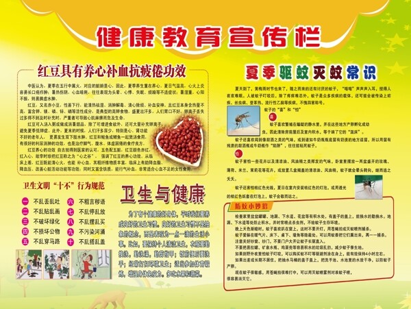夏季健康教育宣傳欄