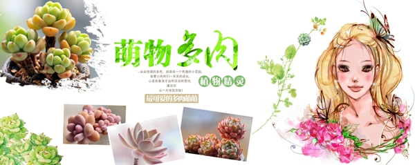 多肉植物海報