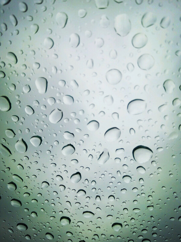 雨