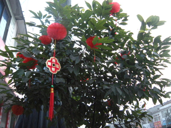 燈籠圖片