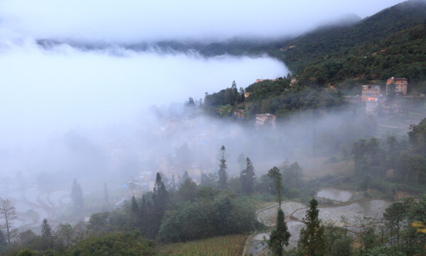 晨雾中的村庄