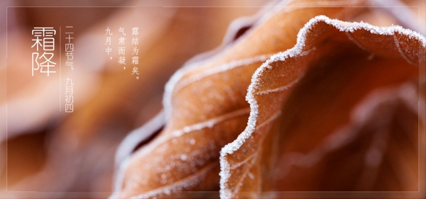 霜降網(wǎng)頁banner