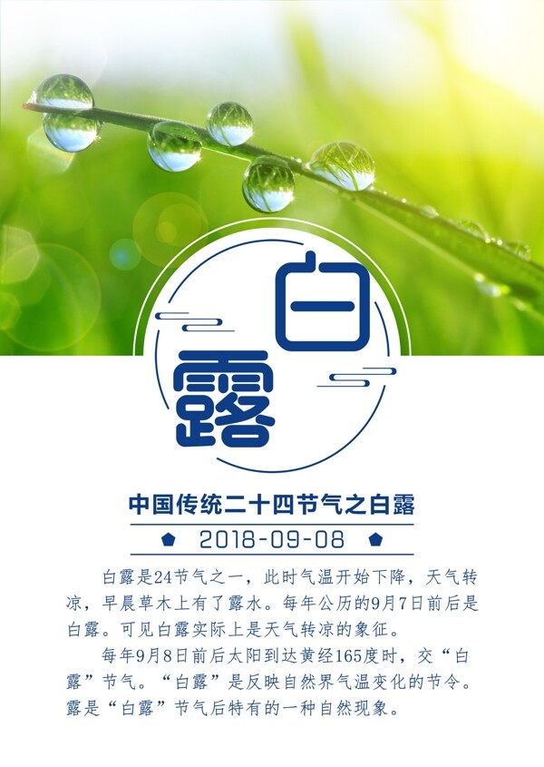 白露二十四節(jié)氣海報(bào)