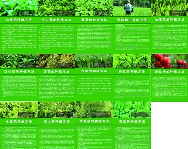 农作物的种植方法以及病虫害的防