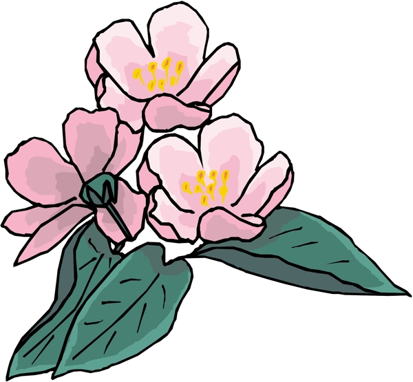 花朵花草鮮花矢量EPS格式0781