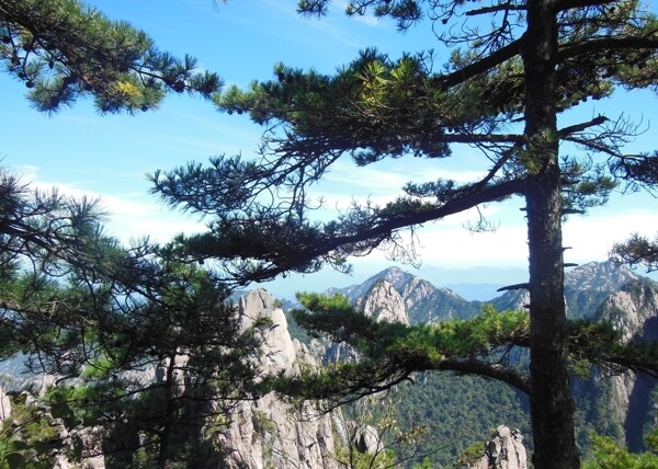 黃山