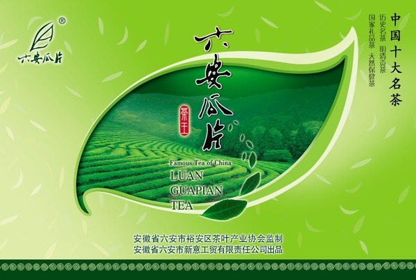 六安瓜片包裝C圖片