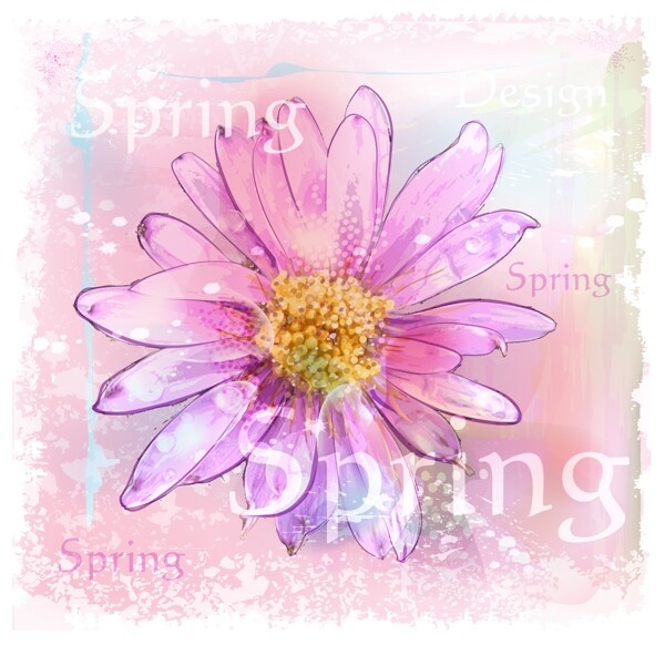 粉色水彩菊花图片