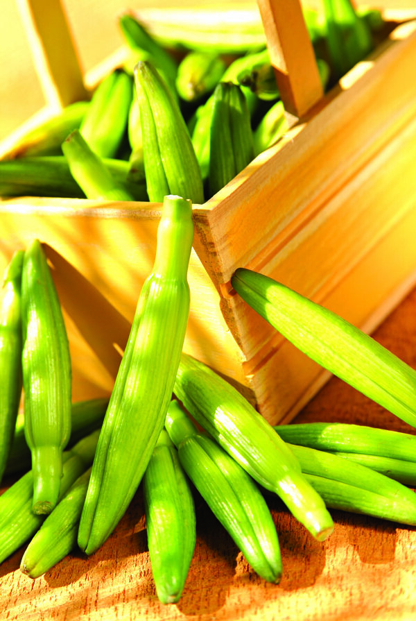 全球首席大百科什錦蔬菜新鮮健康農(nóng)產(chǎn)品營(yíng)養(yǎng)