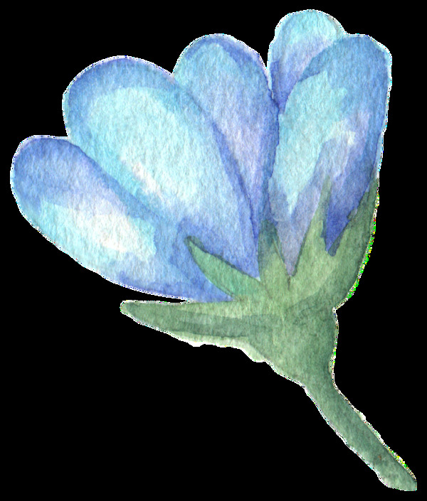 晶藍(lán)花瓣透明裝飾素材