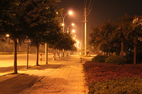 晚上路燈圖片