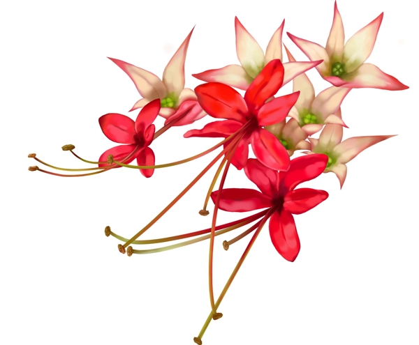 紅色小花朵24