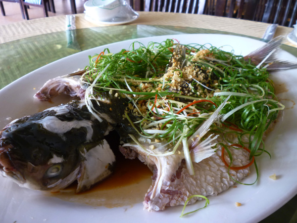 清蒸鯇魚圖片