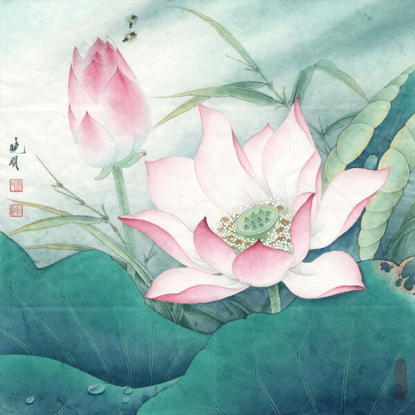 水上芙蓉